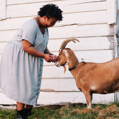 Hinterland Dress