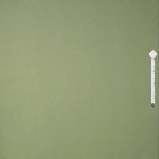 Stretch Cotton Sateen in Vintage Green
