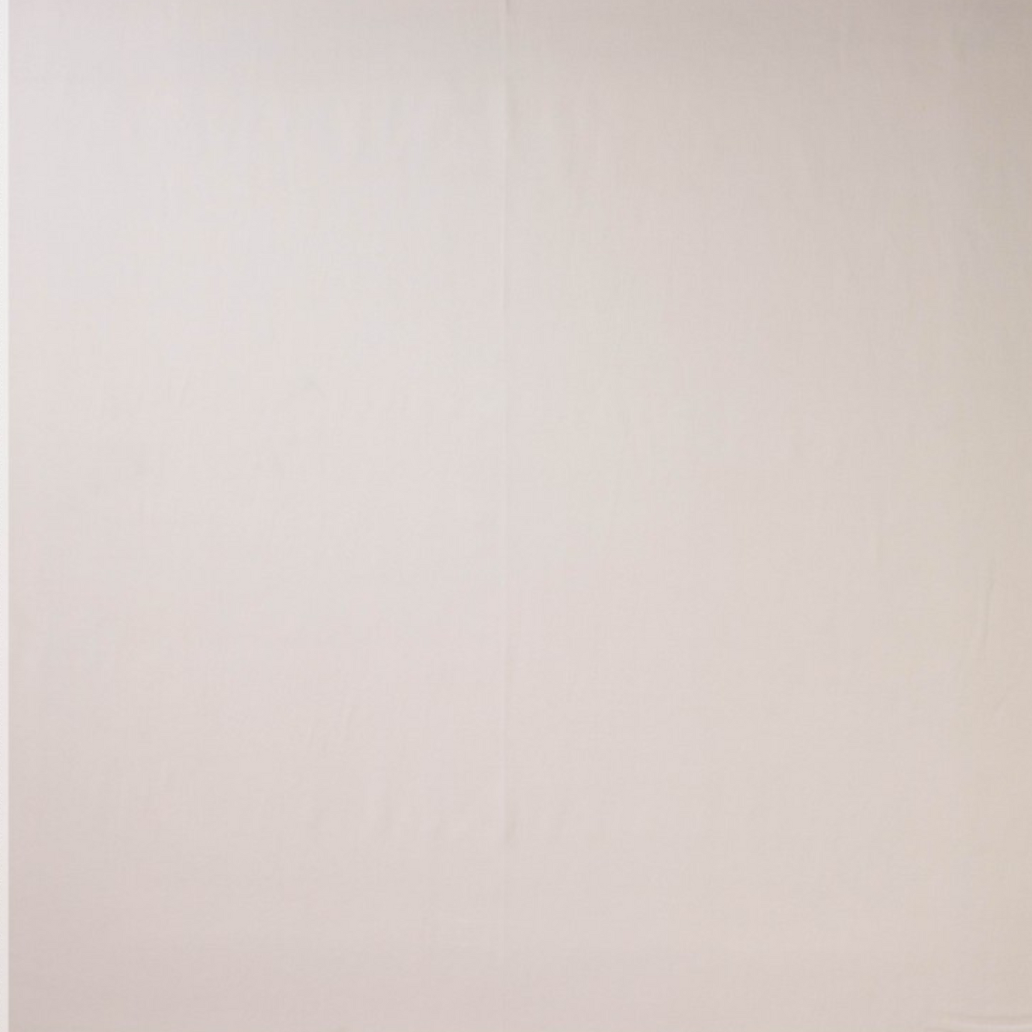 Lyocell Twill in Off White