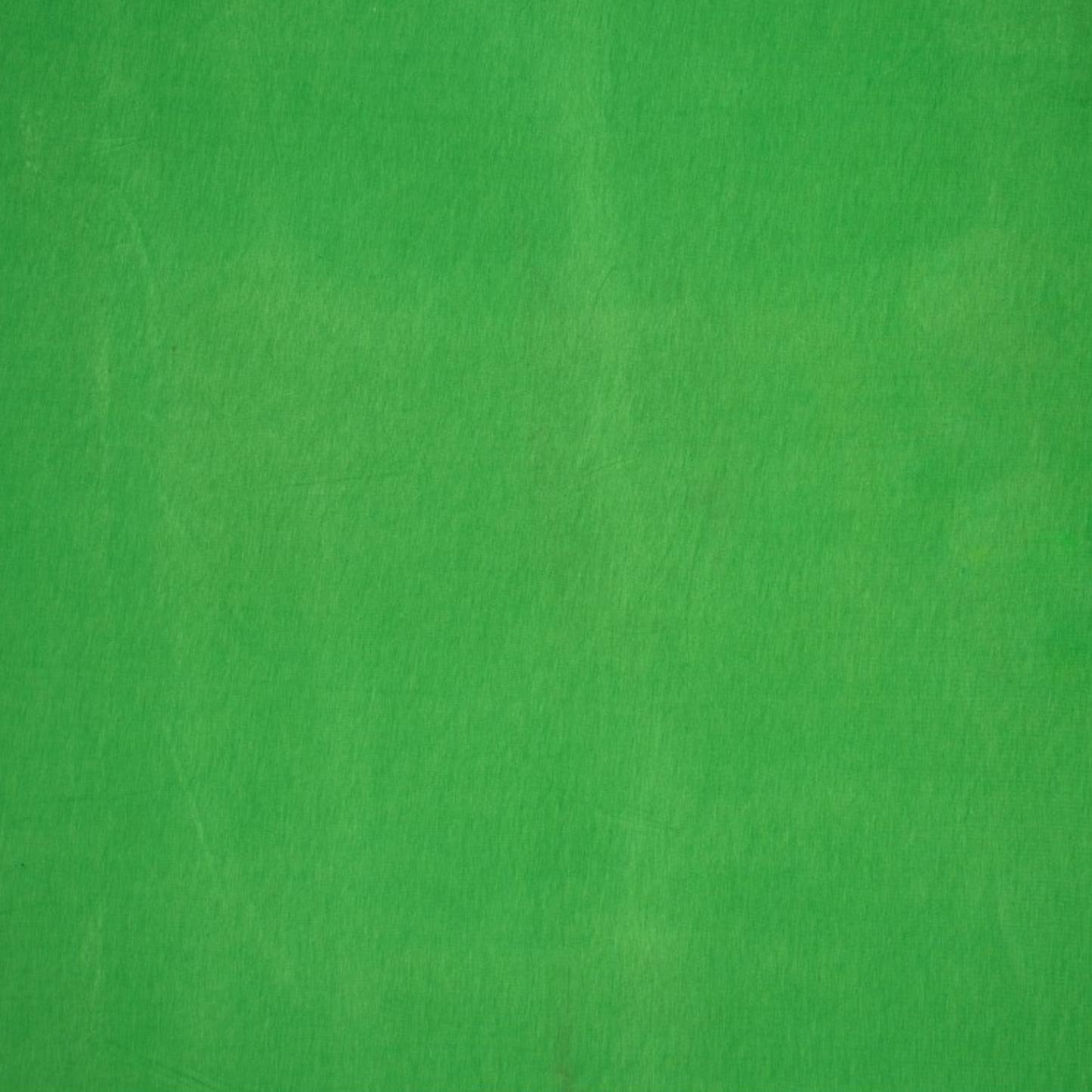 Viscose Jersey in Forest Green