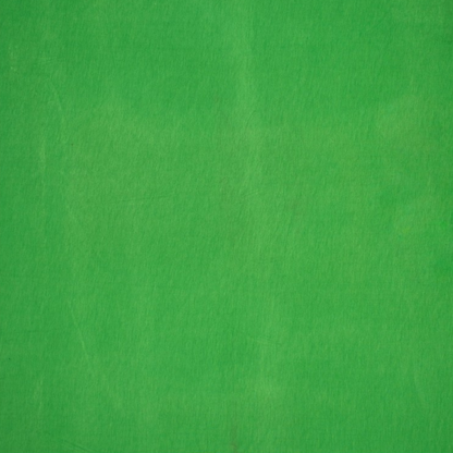 Viscose Jersey in Forest Green